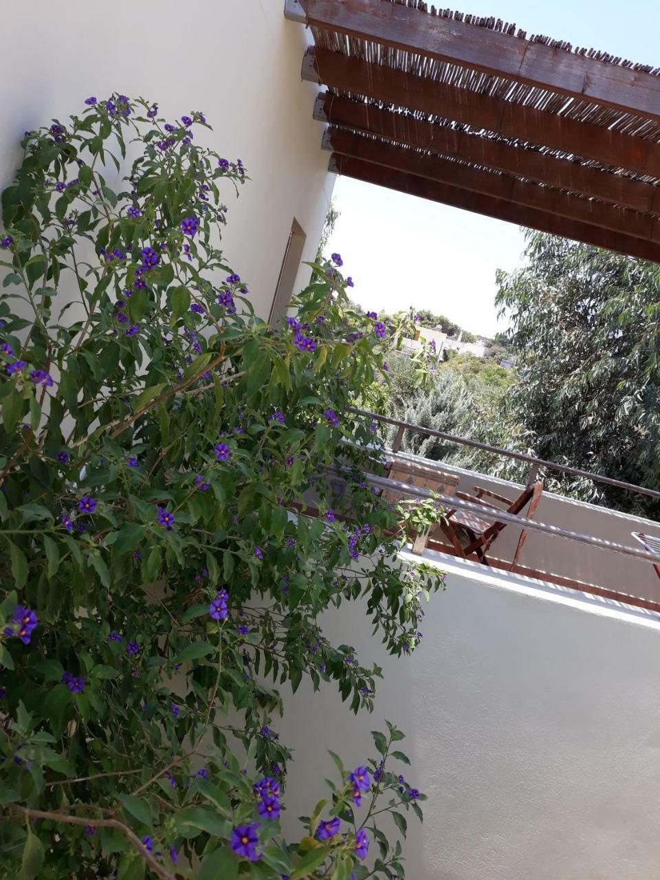 Vilana Studios Kalamos  Exterior foto